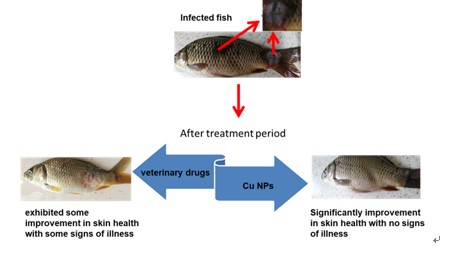 VOL38 1호_ANTI inflammatory.jpg
